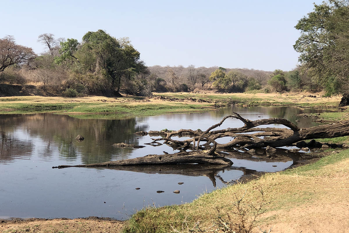 What is the allure of Ruaha National Park?