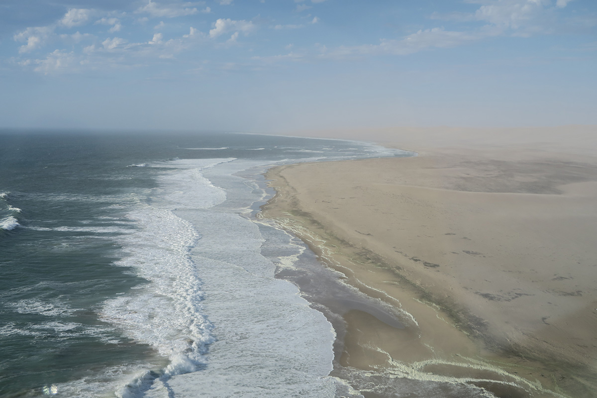 Wild + Exhilarating Safari Experiences