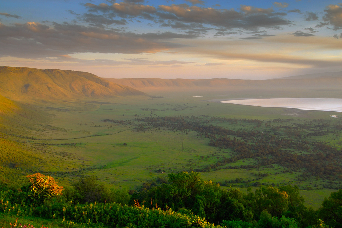 Safari specialist Tanzania | travel inspiration