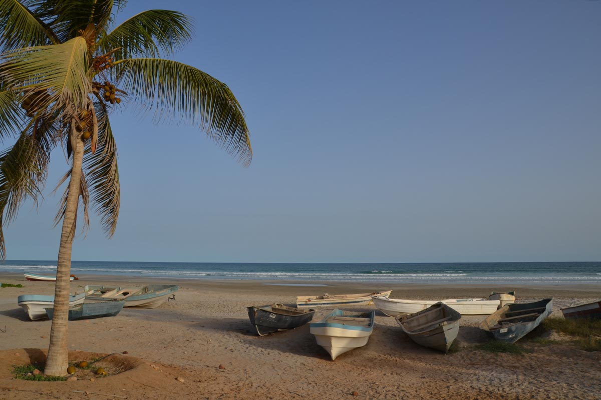 Why you should visit Oman's unexplored Dhofar Province
