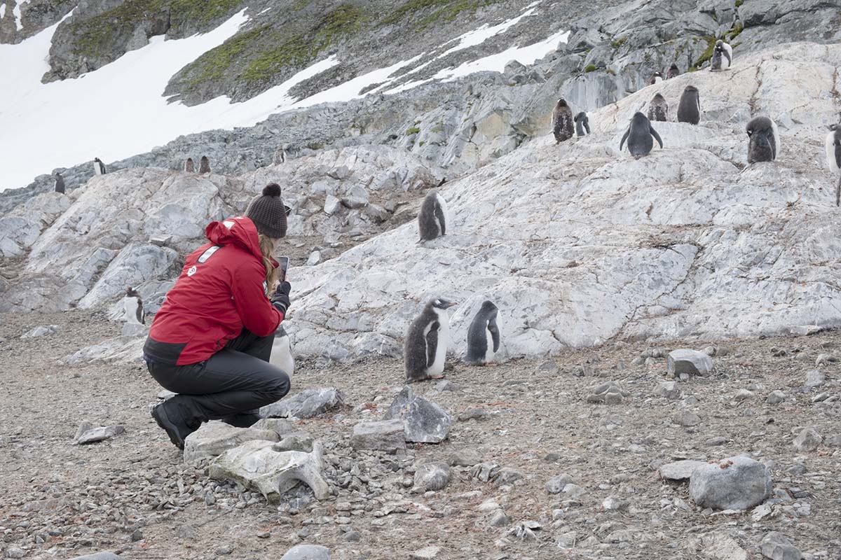 Sarah Antarctica