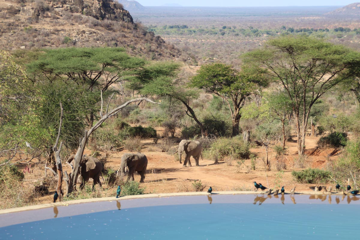Exploring Kenya's Matthews Mountain Range