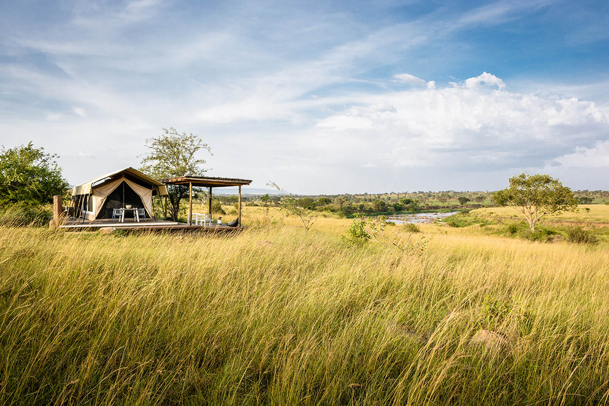 Tanzania safari