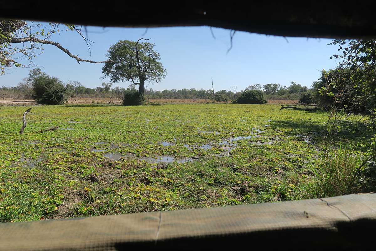 The most exciting experiences in Zambia