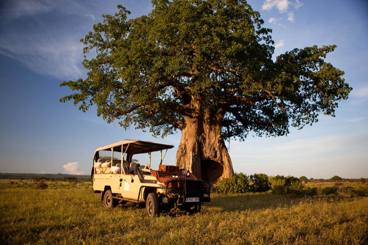 Luxury holiday to Tanzania