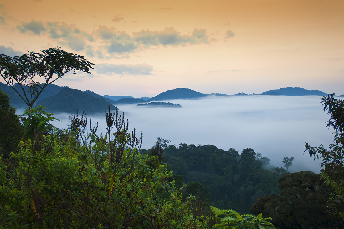 Luxury travel Rwanda