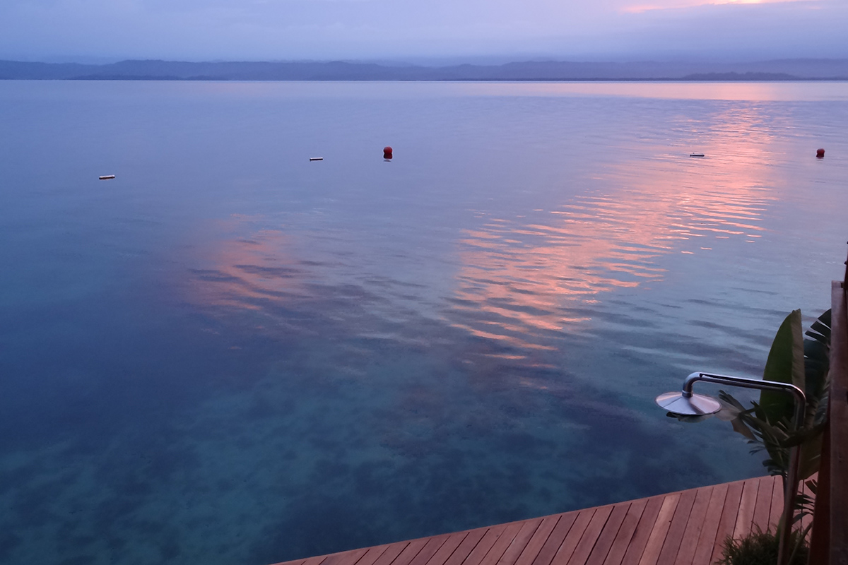 Sweet Bocas