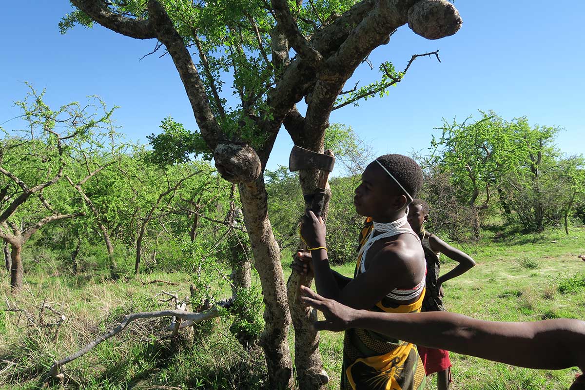 A MORNING WITH THE HADZABE BUSHMEN