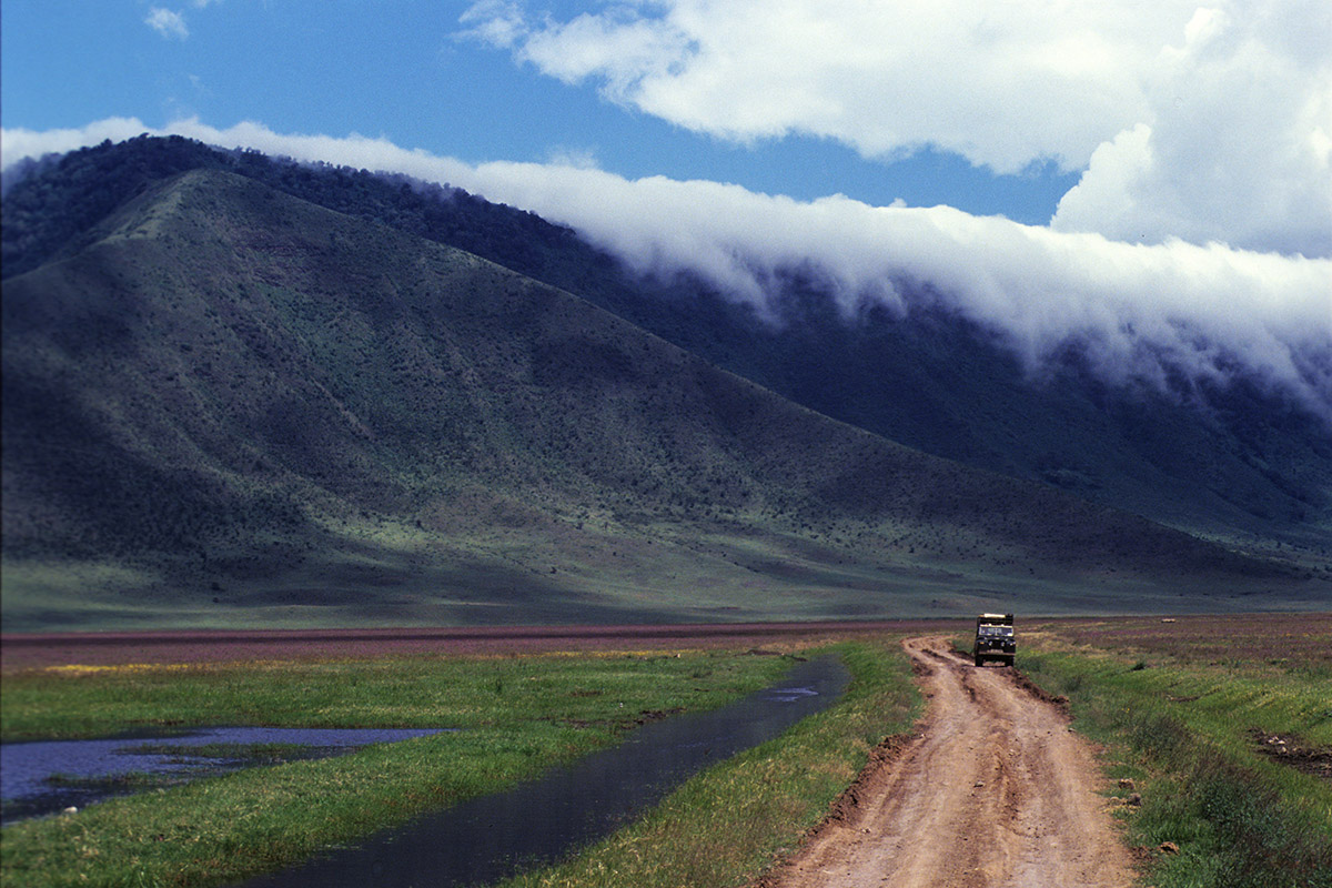 Tanzania safari