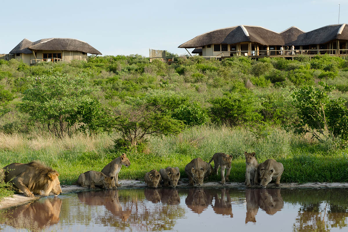 Tau Pan Camp safari in Africa