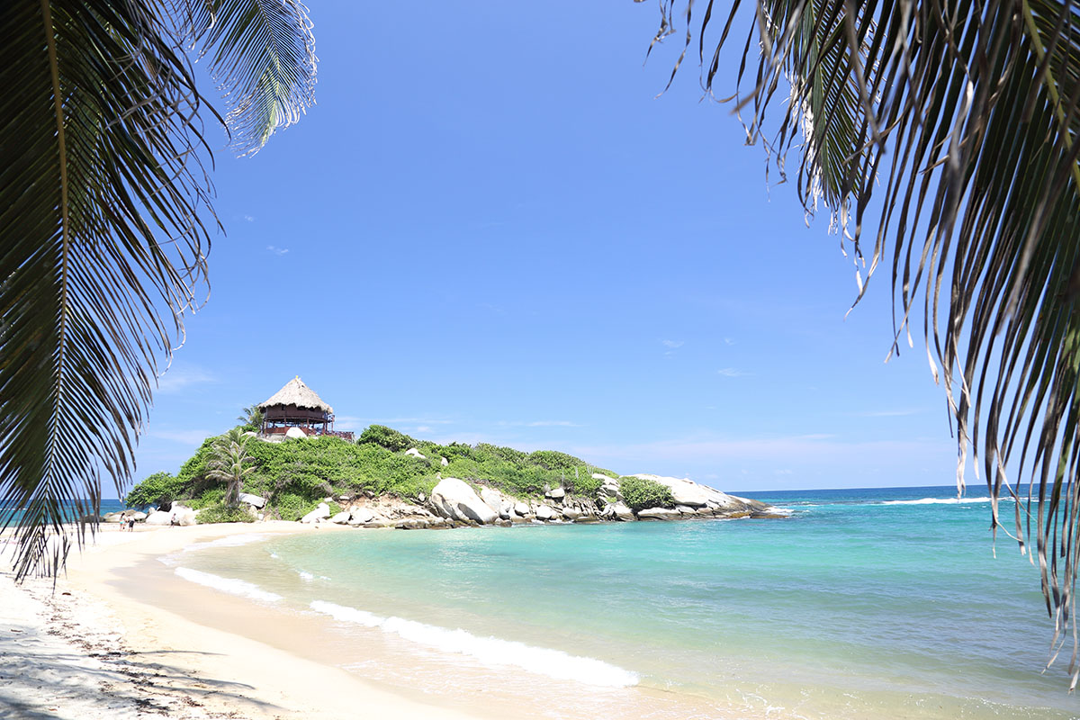 Three of the best wildlife experiences in Colombia