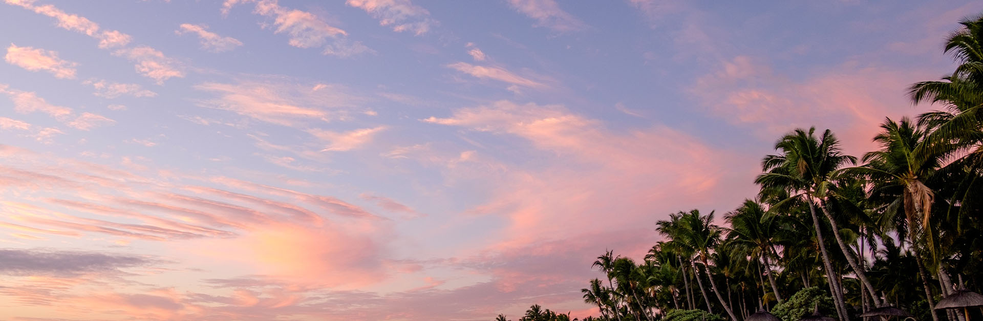 sky and trees mauritius