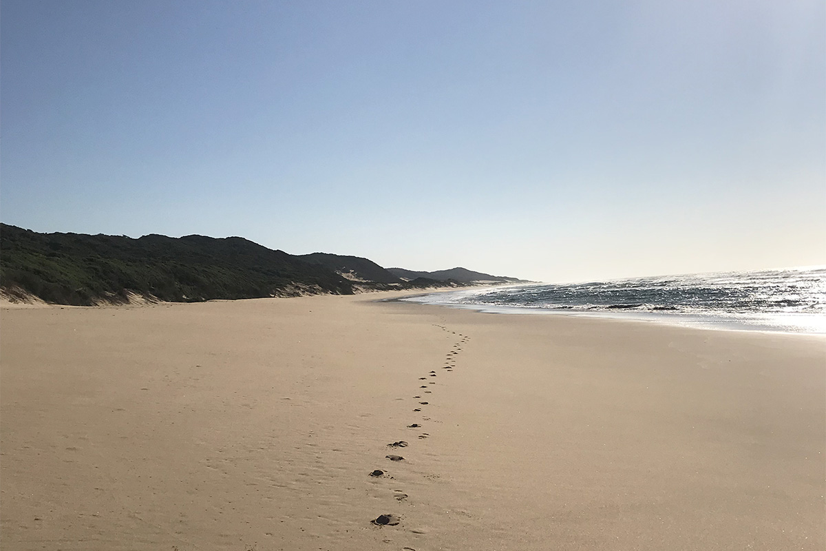Thonga Beach Lodge