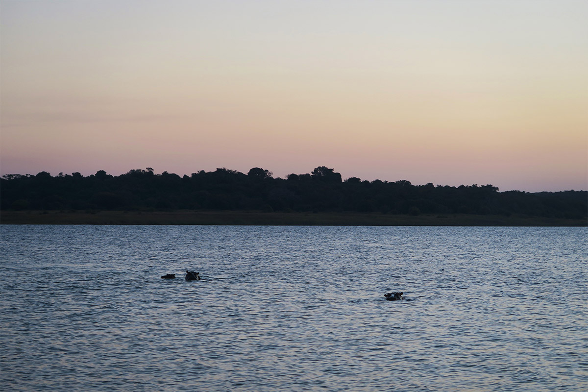 Thonga Beach Lodge