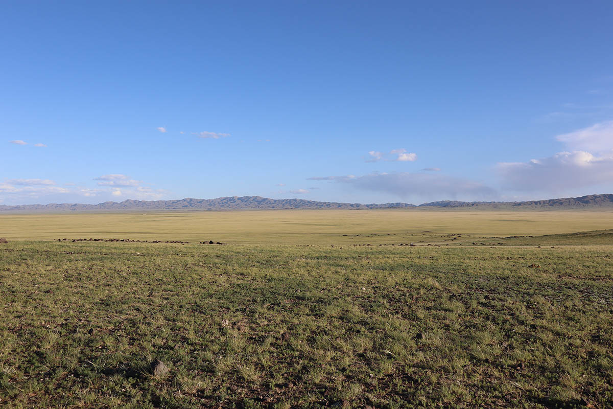 Our stay at Three Camel Lodge, Mongolia