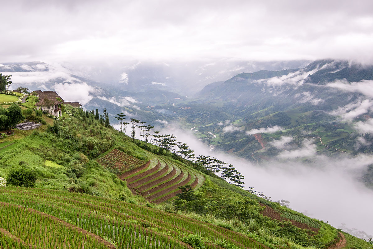 Our experience at Topas Ecolodge in Vietnam