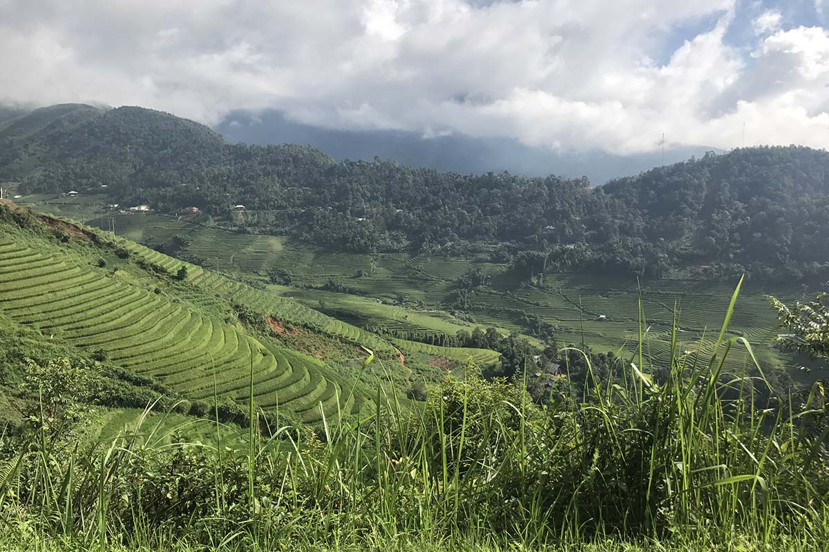 Our experience at Topas Ecolodge in Vietnam