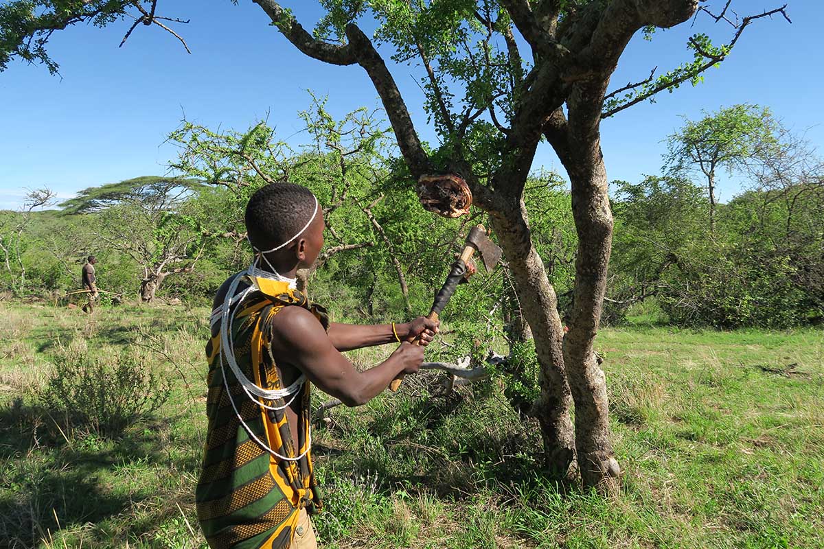 A MORNING WITH THE HADZABE BUSHMEN