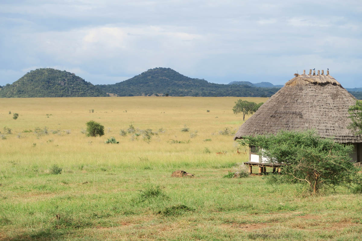 Cara Uganda
