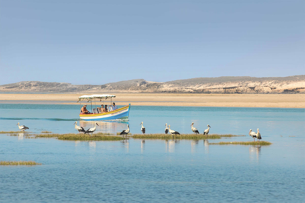 Oualidia, Casablanca to Marrakech in 10 days