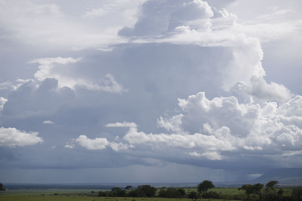 An adventurous walk in the Mara, Kenya