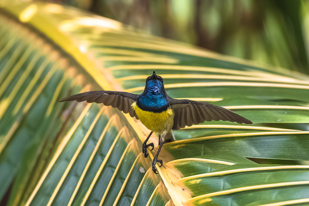 Why you should travel to Sao Tome and Principle
