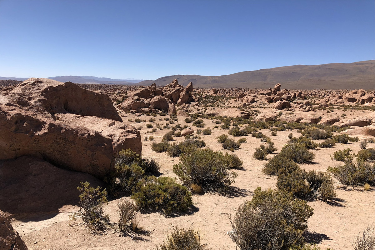 One of the best places to see in Bolivia is Eduardo Avaroa National Reserve