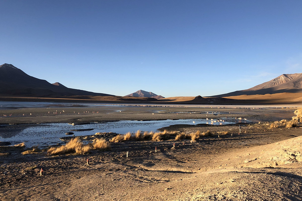 Why should you travel to Bolivia's Eduardo Avaroa National Reserve?