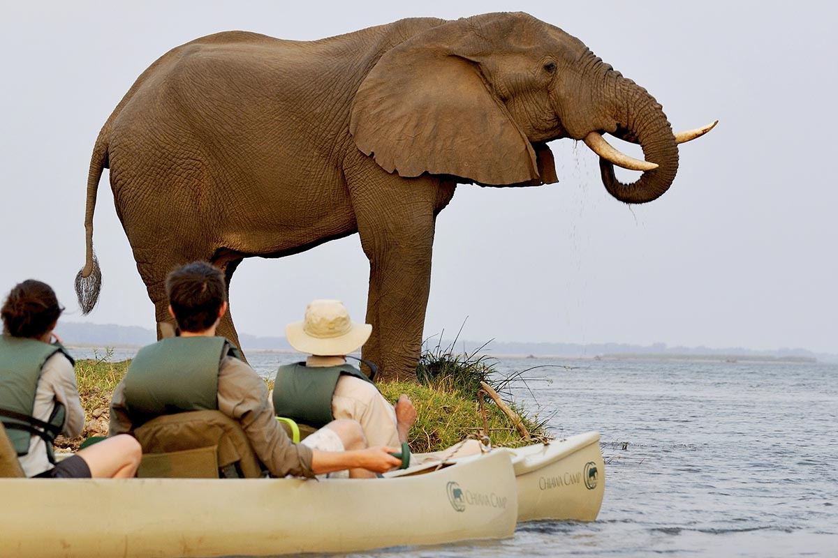 Zambezi River