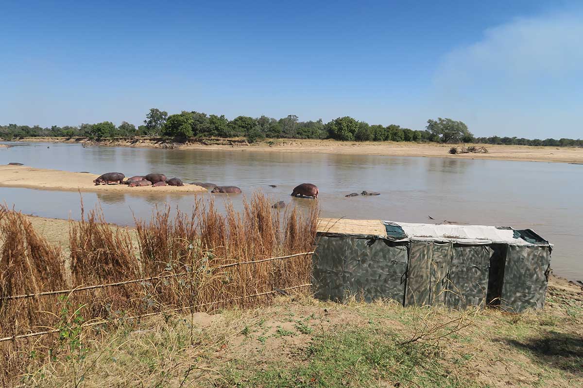 The most exciting experiences in Zambia