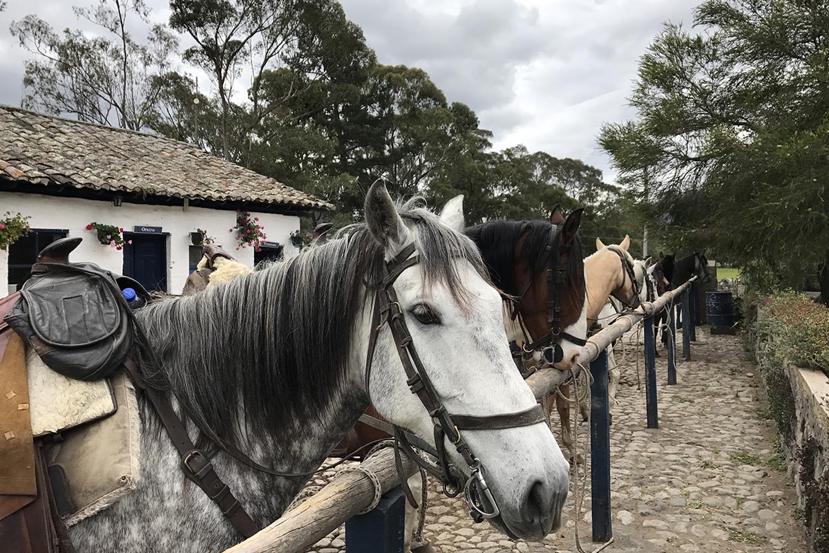 Christopher in Ecuador