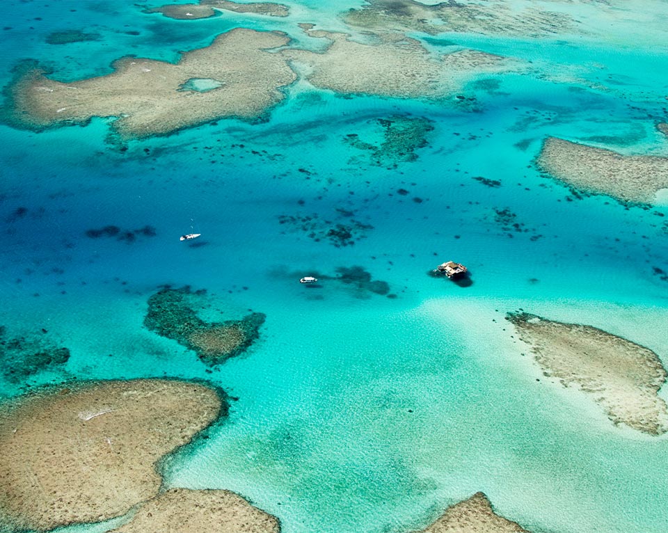Fiji Ocean Reef
