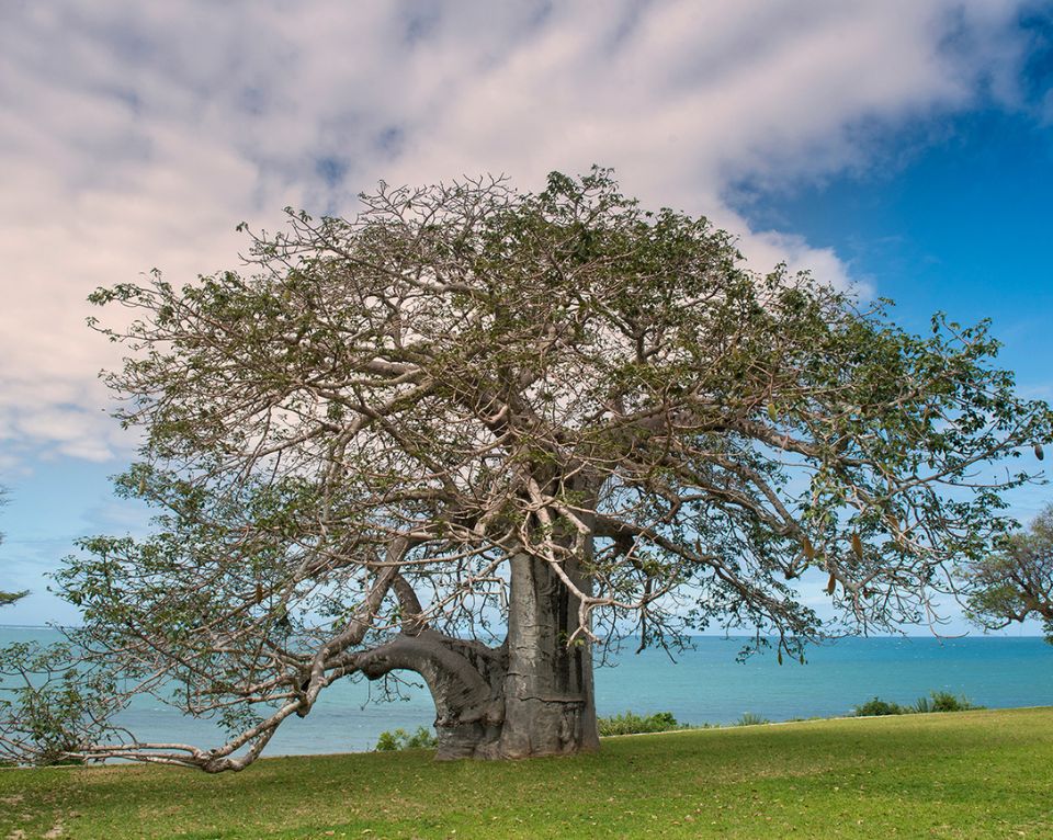 Kilifi