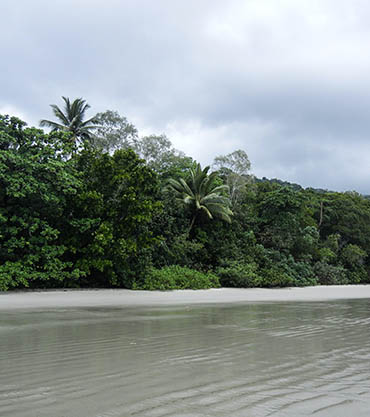 Daintree National Park