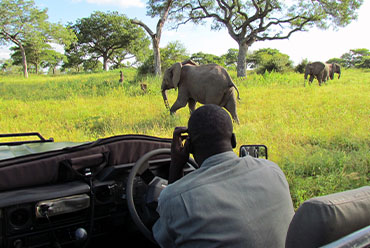 kruger national park