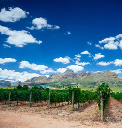 Winelands