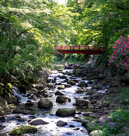Nara on our luxury japan itinerary