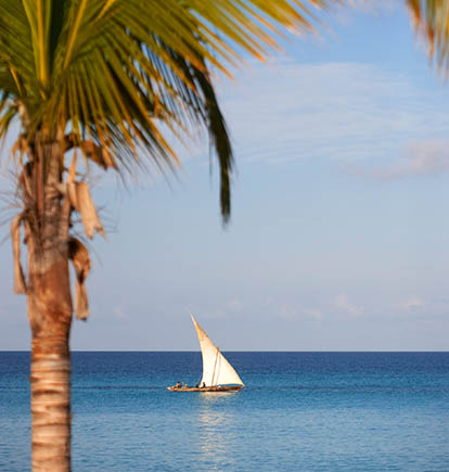 Tanzania safari and beach