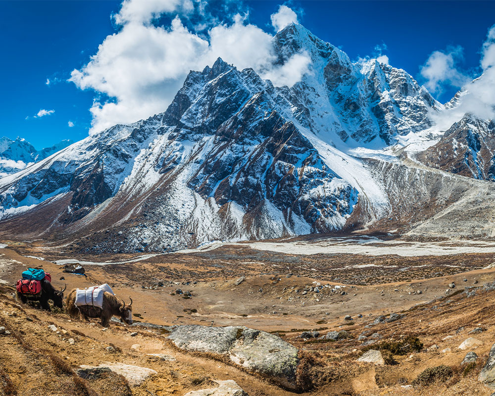 IndiaThe Himalayas