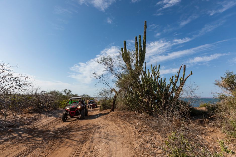 Baja buggies la paz baja california sur mexico