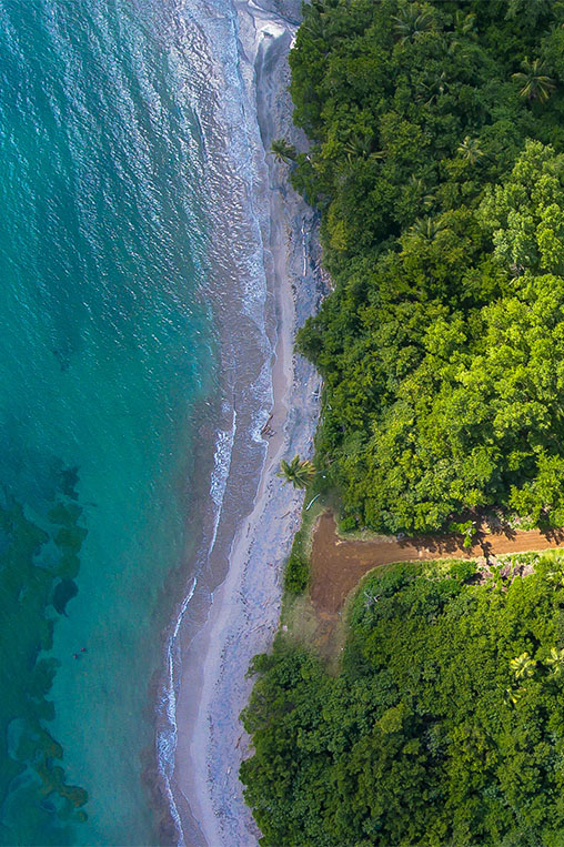 seaside and nature in Grenada