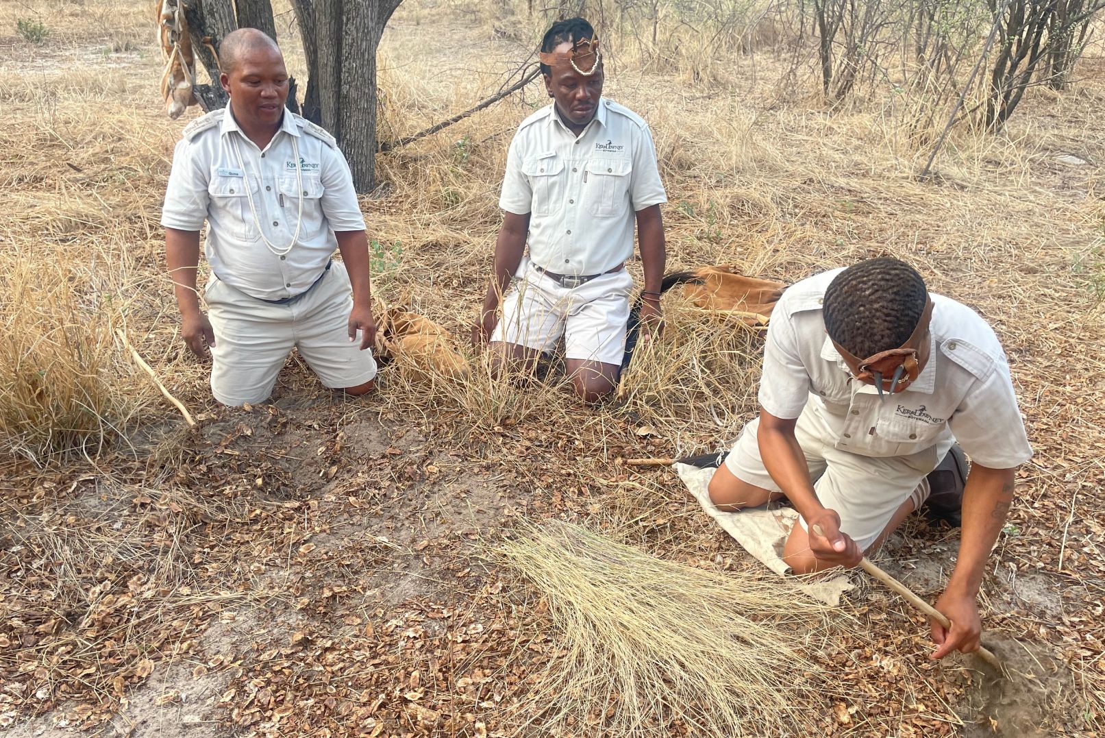 Kalahari hunting techniques