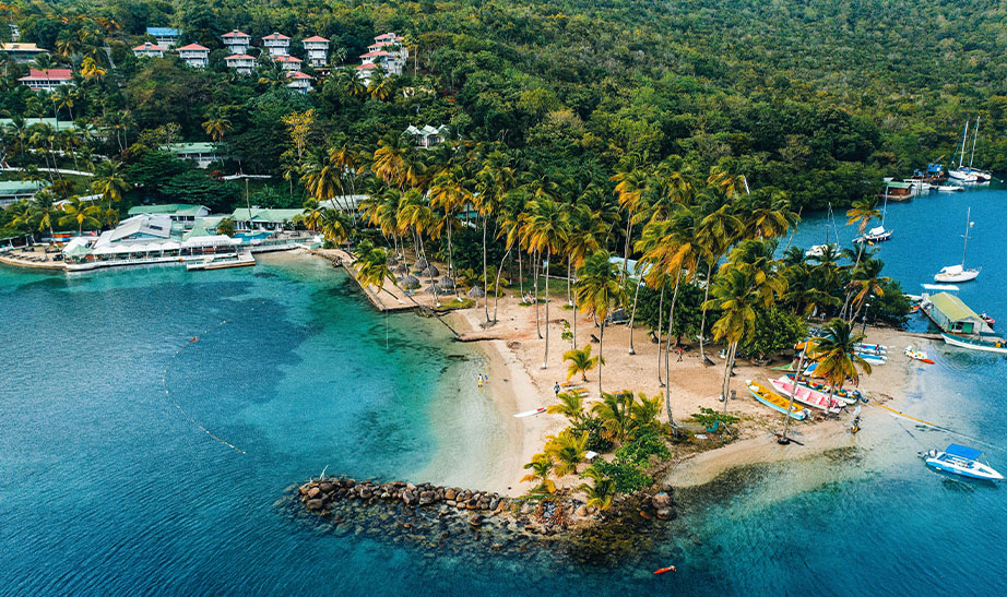 st lucia seaside and palms