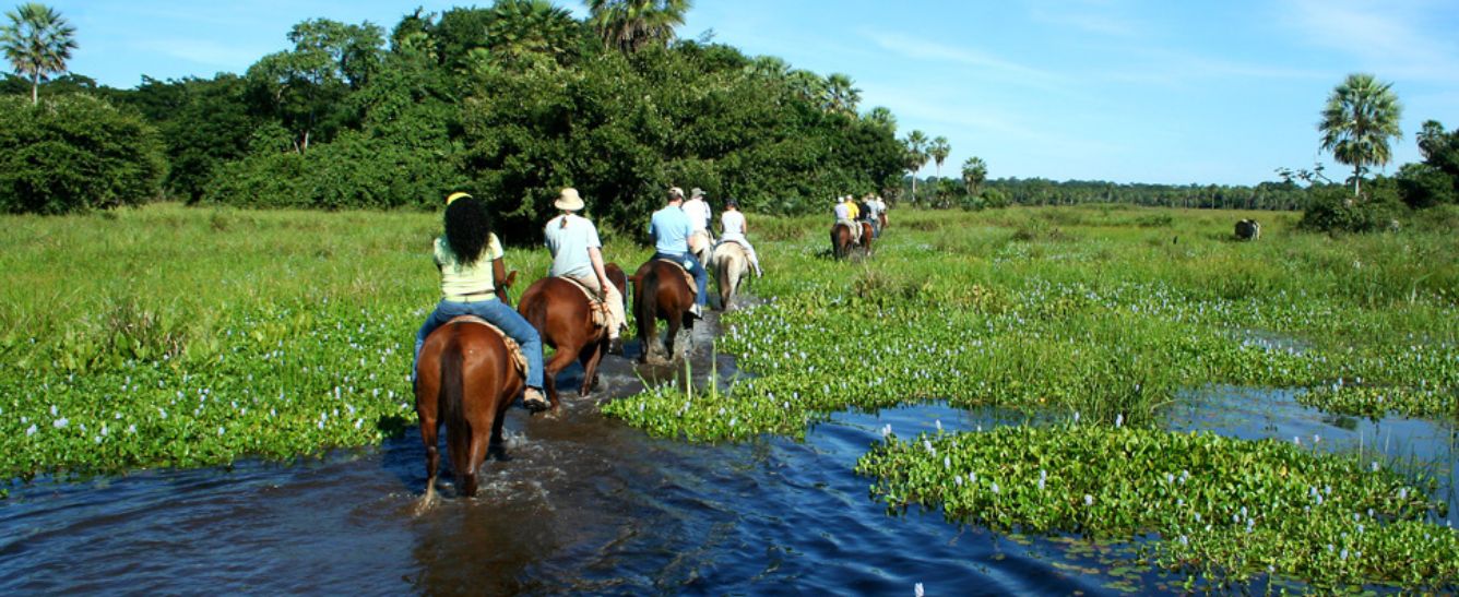 Brazilian Amazon