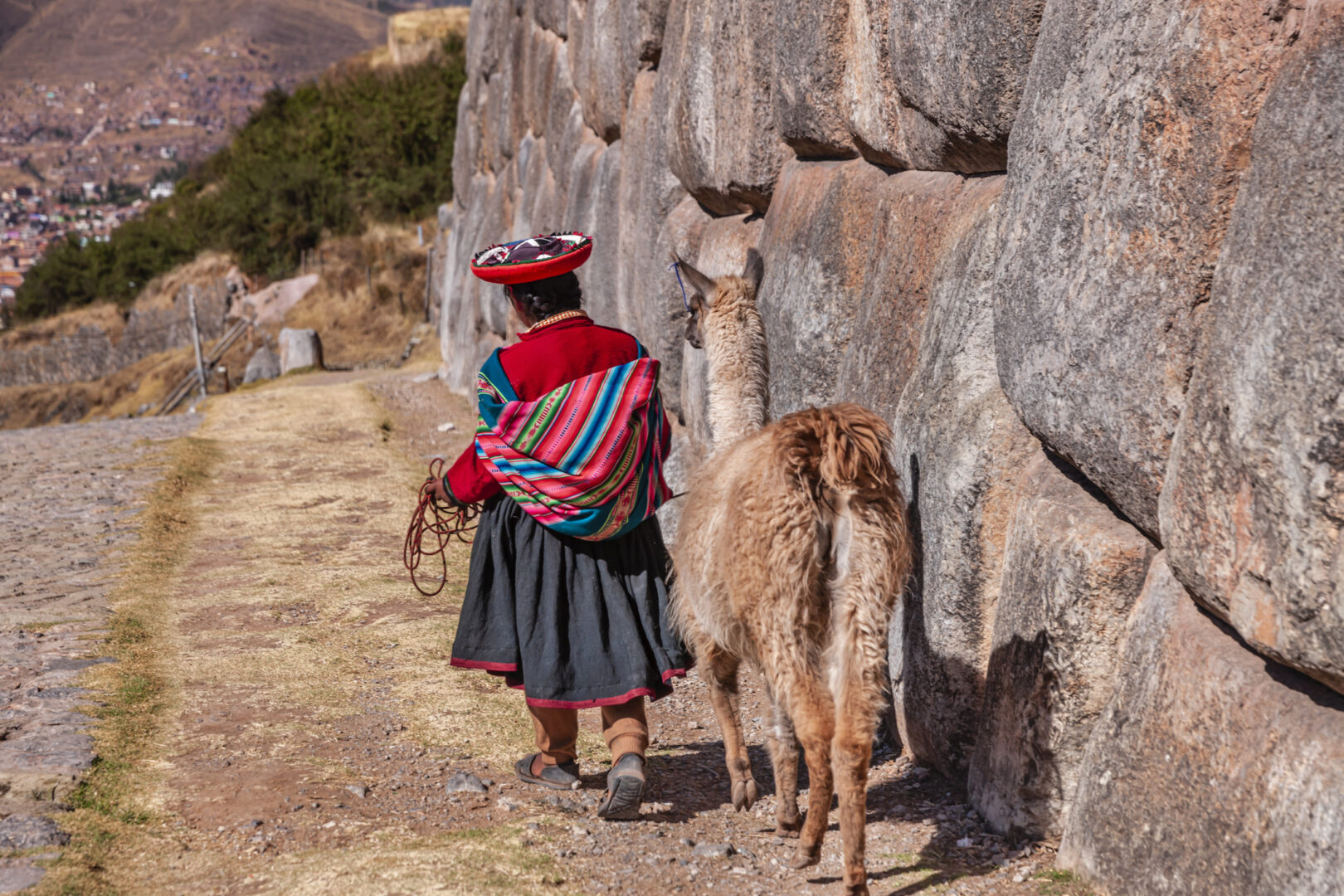Peruvian girl wearing national clothing walking with llama near The Sacred Valley