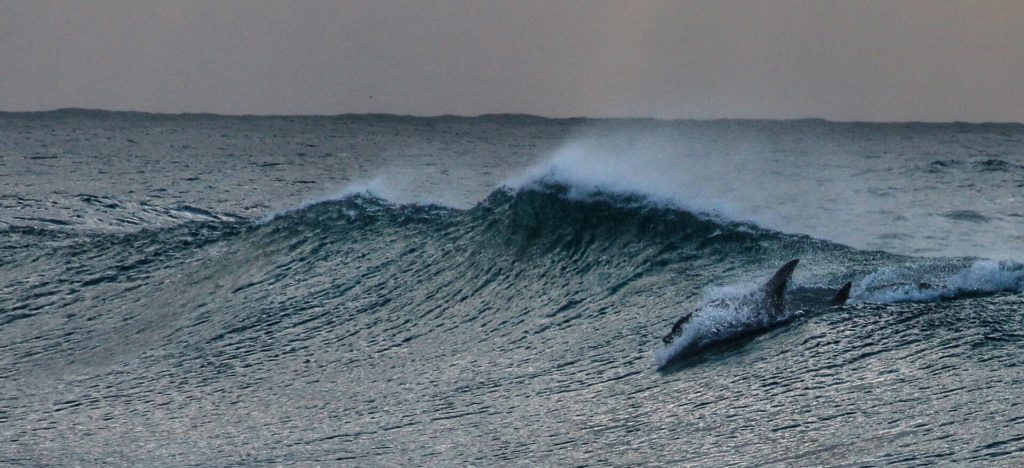 Wild Coast Adventure