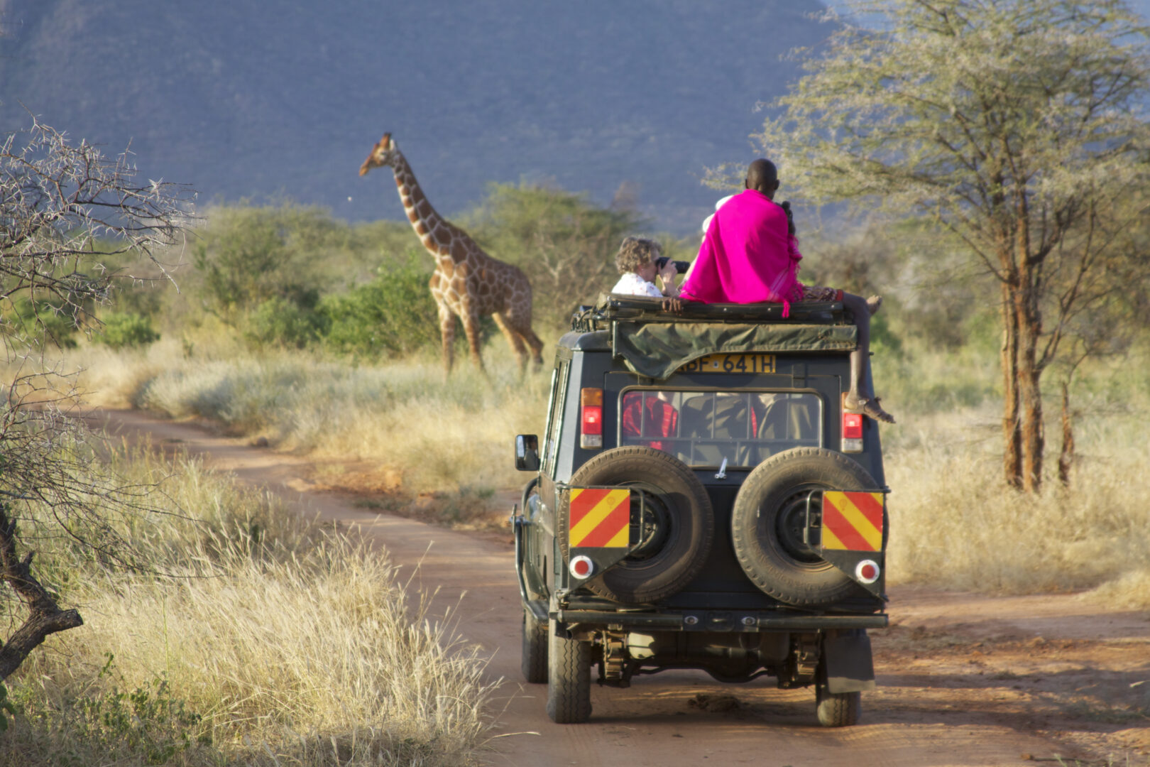 A game drive from Sarara on a luxury holiday in Kenya