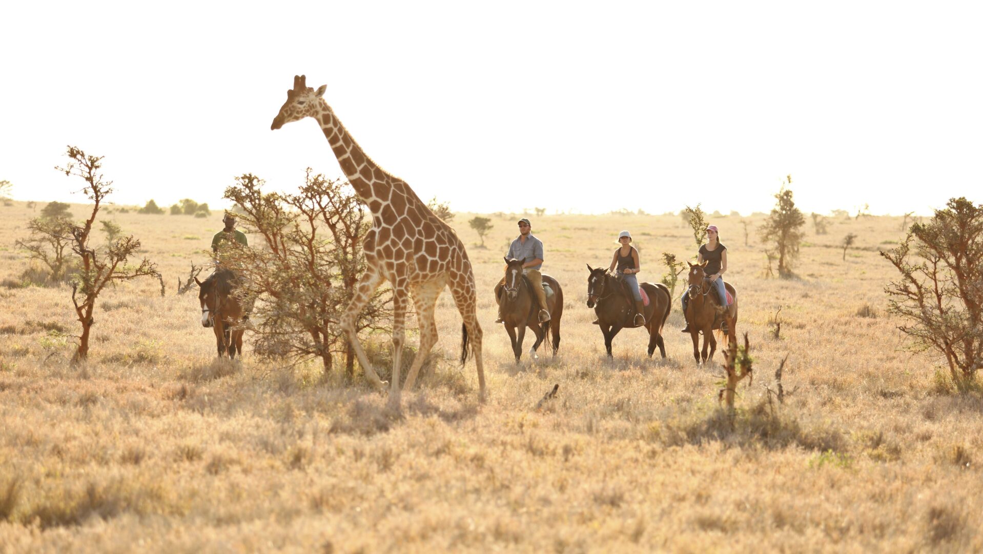 Horse riding from Lewa Wilderness, Kenya