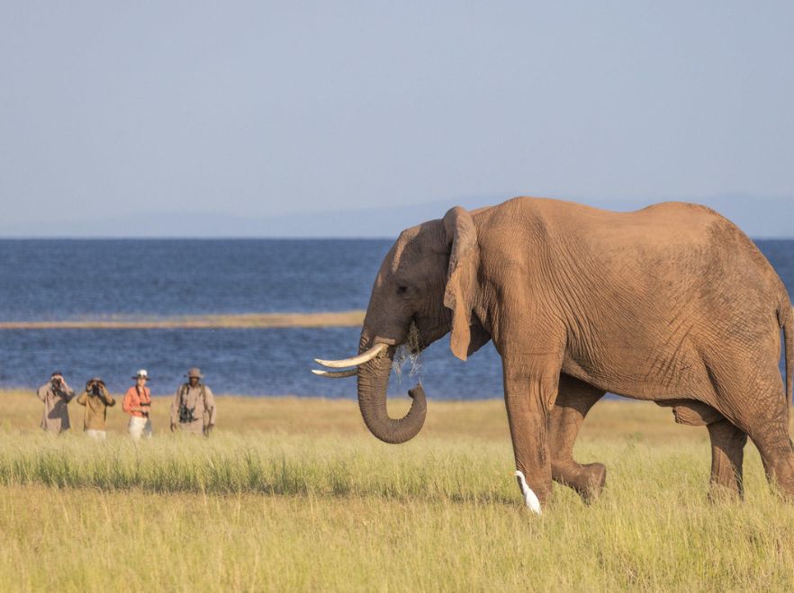 Fothergill Island, Lake Kariba, Zimbabwe