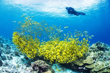 Alphonse Island, Seychelles